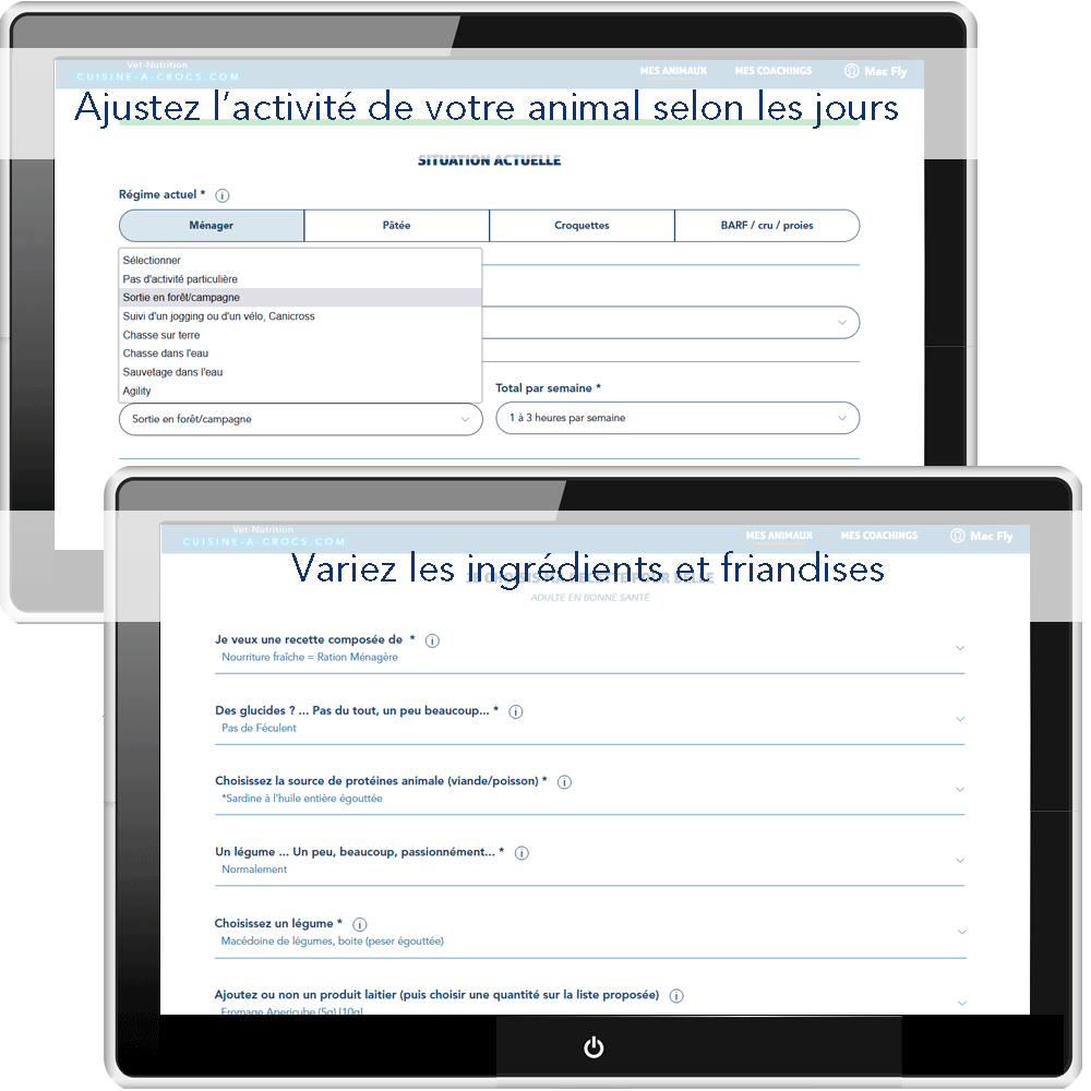 Abonnement Petacroc: alimentation sur mesure 